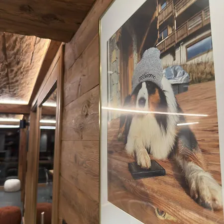 De Scott, Luxe Avec Et Sauna Gerardmer